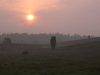 Im Naturschutzgebiet Lüneburger Heide