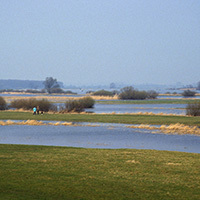 Elbe bei Bleckede