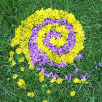 Landart beim FÖJ-Seminar